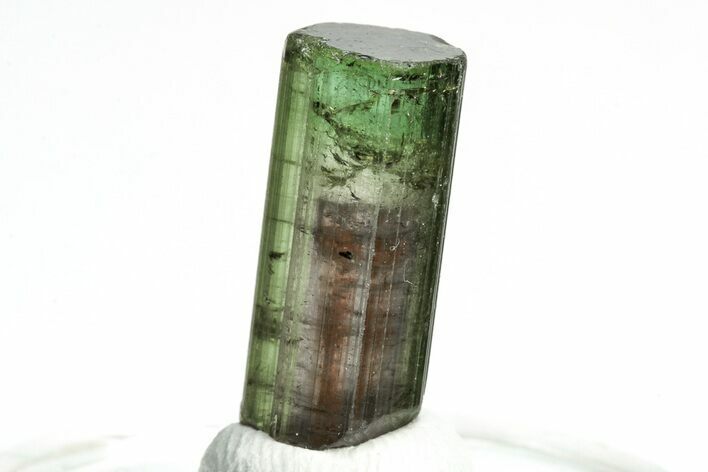 Bicolor Elbaite Tourmaline Crystal - Aricanga Mine, Brazil #206862